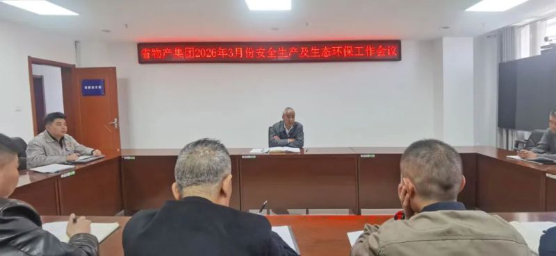 集團召開3月份安全生產及生態環保工作會議